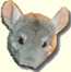 Chinchilla