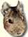 Octodon