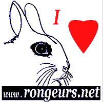 j'aime mon lapin