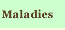 Maladie
