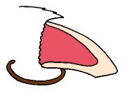 coupe griffe