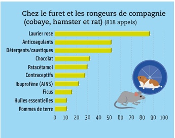 Les intoxications des Rongeurs et Lapins Centre Antipoison Vtrinaire