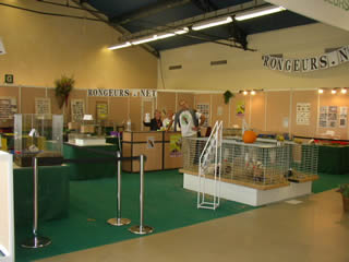 Exposition Rongeurs et Lapins Nains